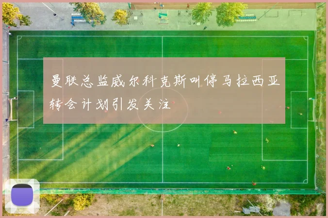 曼联总监威尔科克斯叫停马拉西亚转会计划引发关注